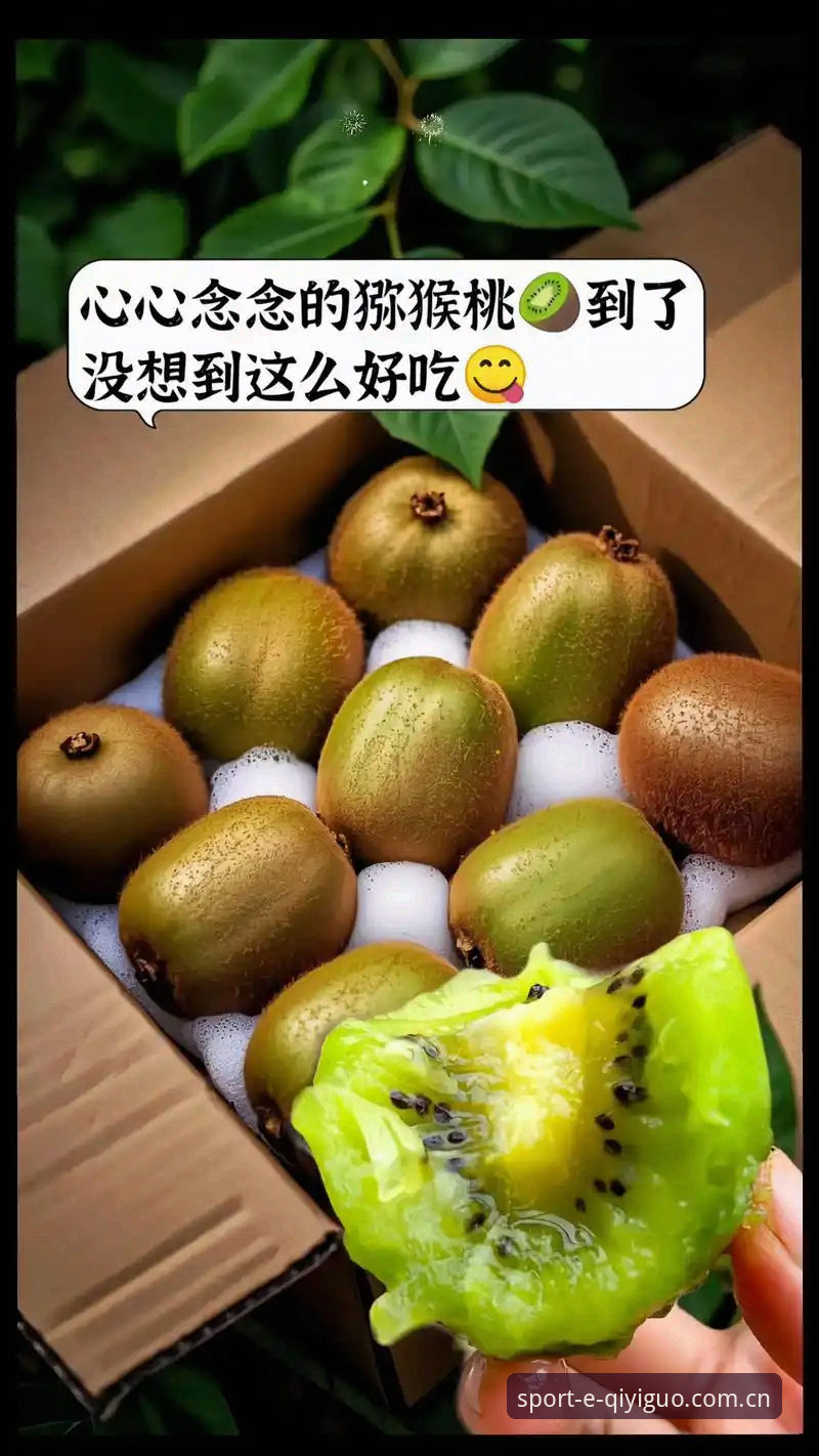 奇异果体育官网 揭秘奇异果体育官网2025新版:老用户才知道的隐藏玩法与登录技巧